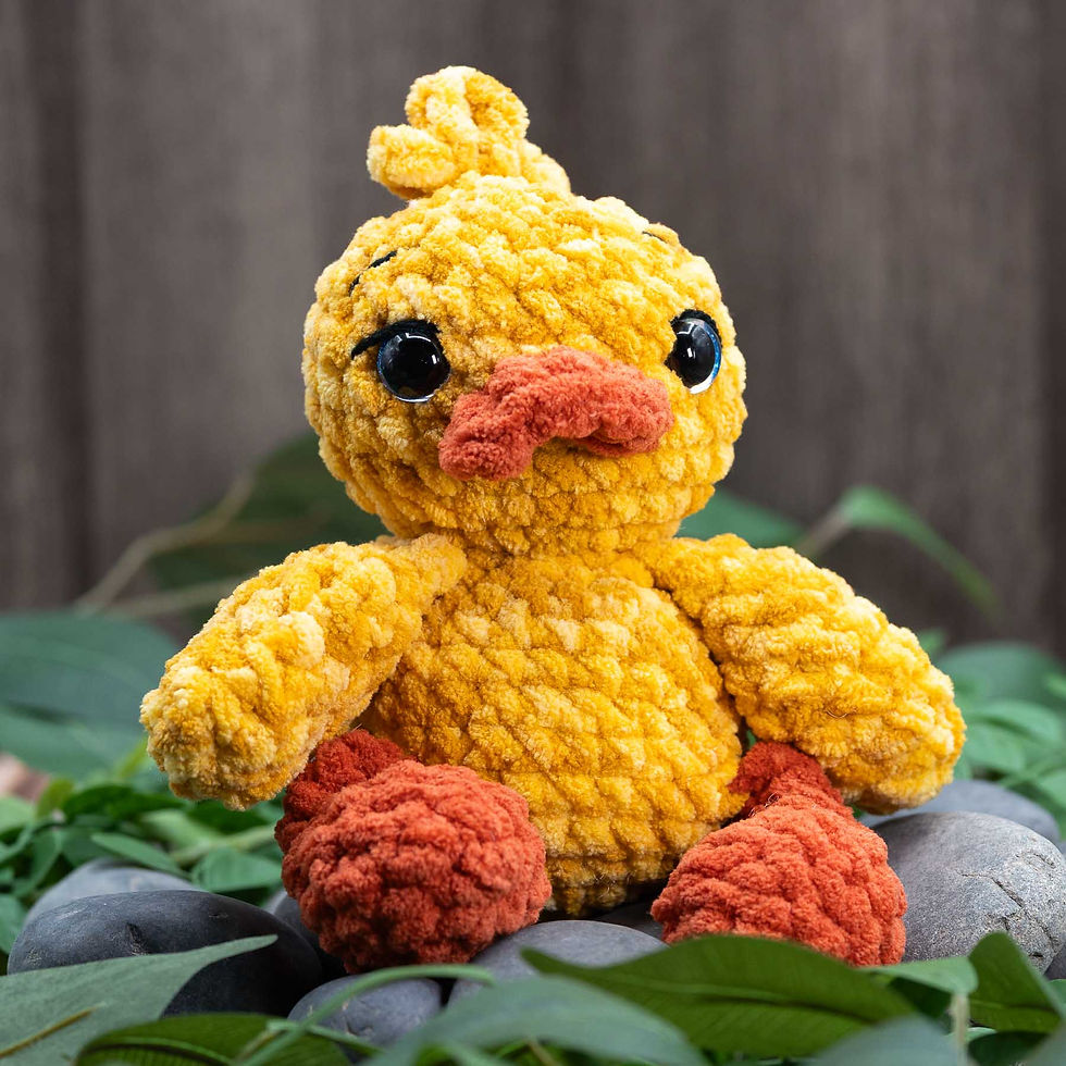 Mr. Quackers the Duck