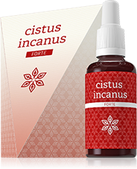 increases the level of the male sex hormone testosterone by up to one third and, similarly, it increases the level of estrogens in women.