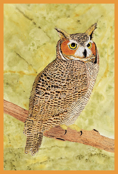 Great Horned Owl wix 3.jpg