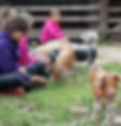 kids with pigs.jpg