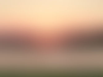 THE LIGHT OF LIFE