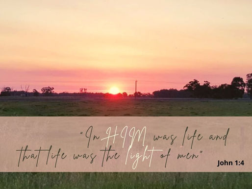 THE LIGHT OF LIFE