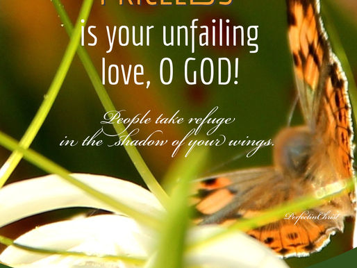 THE LOVINGKINDNESS OF GOD