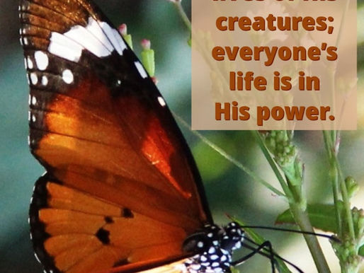 IN GOD’S CARE