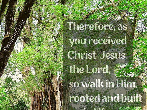 WALK IN CHRIST
