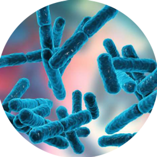 probiotics2-300x296.png
