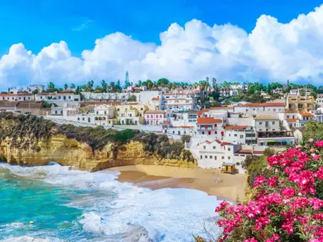 Why Do Travelers Pick Holiday Rentals?