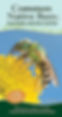 Cover of "Common Native Bees of the Eastern United States" by Heather Holm