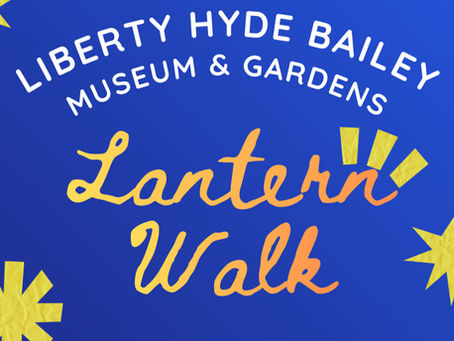 The History and Heart of the Winter Solstice Lantern Walk