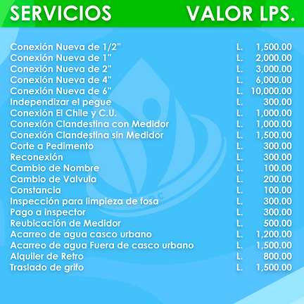 SERVICIOS VARIOS (1).png