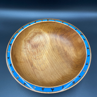 Beech and Shark Teeth