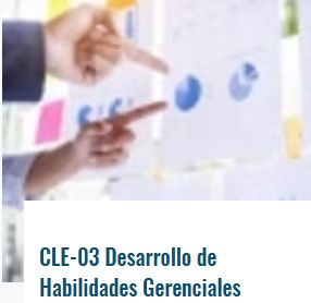 Desarrollo de Habilidades Gerenciales