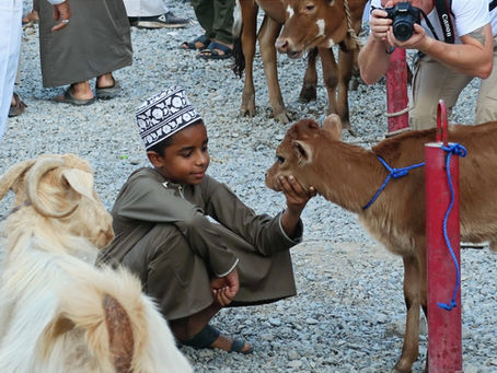 Wat te doen in Nizwa?