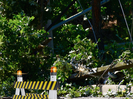 Prepare in a Year - Outages