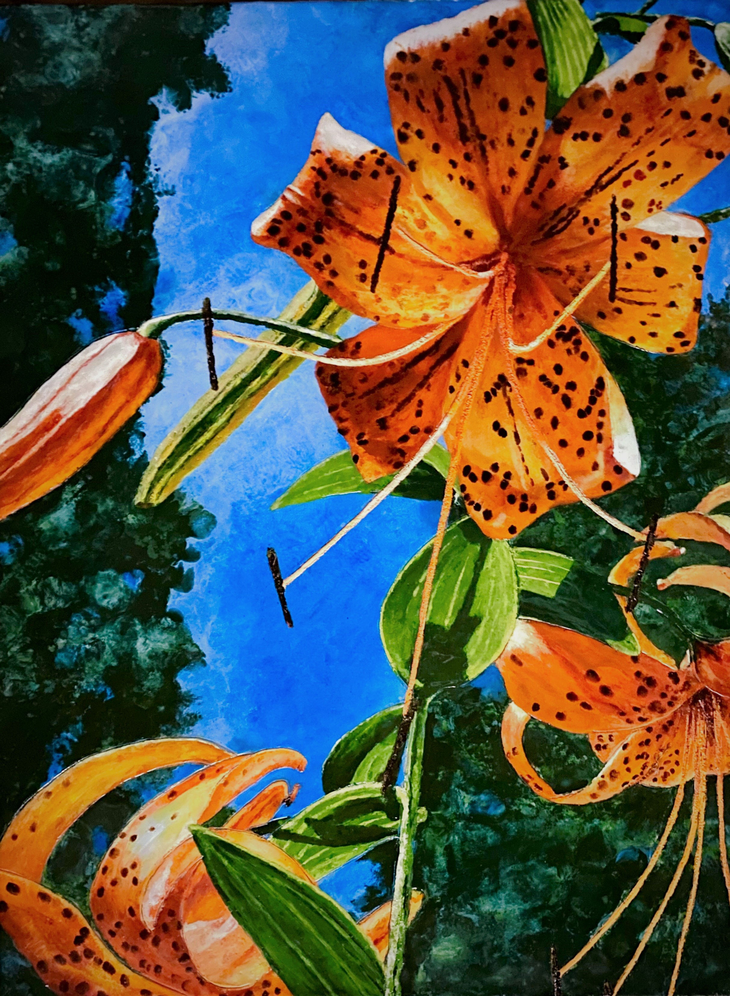 Tiger Lily