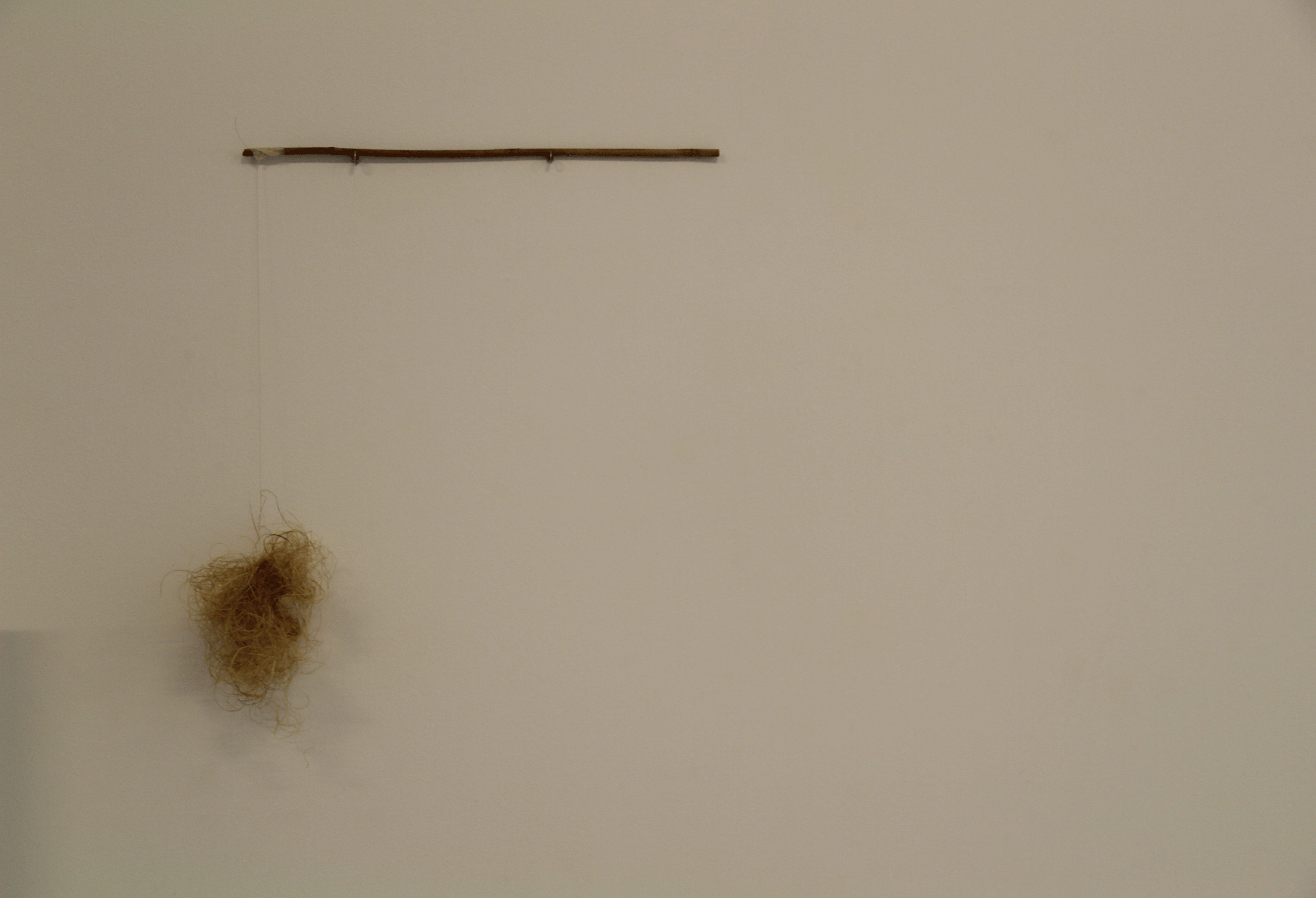 Ruíz, María. 2019. Núñez 3