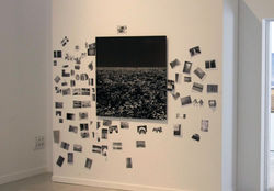 Marín_Ricardo._2013._Brusse_4.