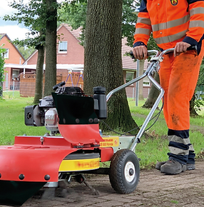 Westermann_Einsatz_WKB_660_Honda_GXV160_1_original_copy_1.png