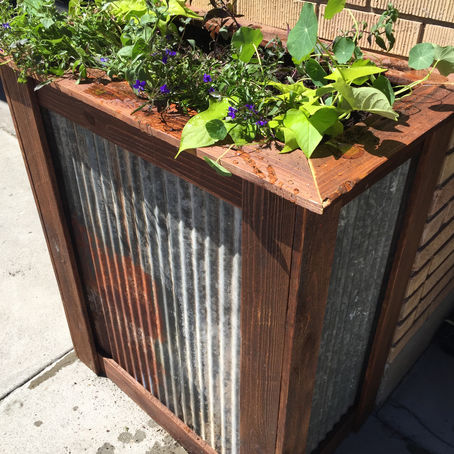 DIY Planter Box