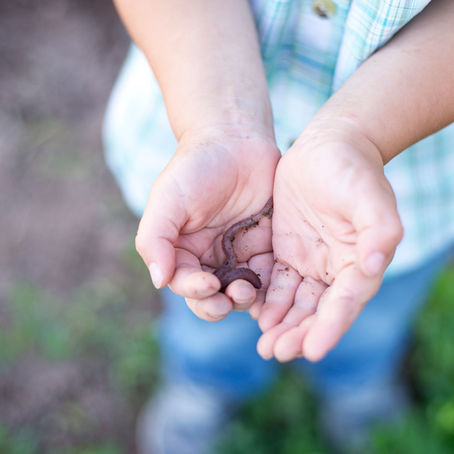 Save That Worm!