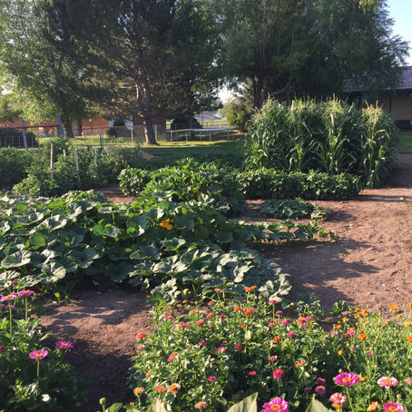Our Garden Tour