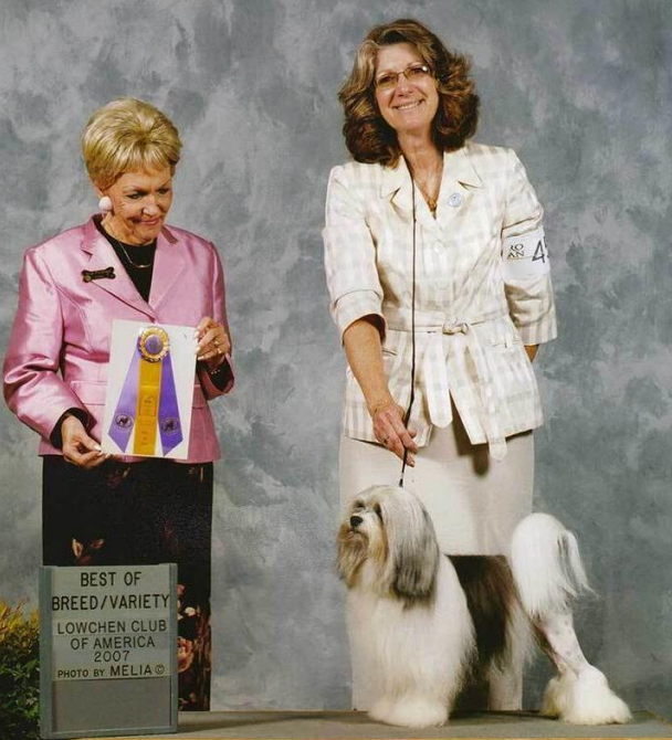 CH Sweetmeadow’s JB of Kismet