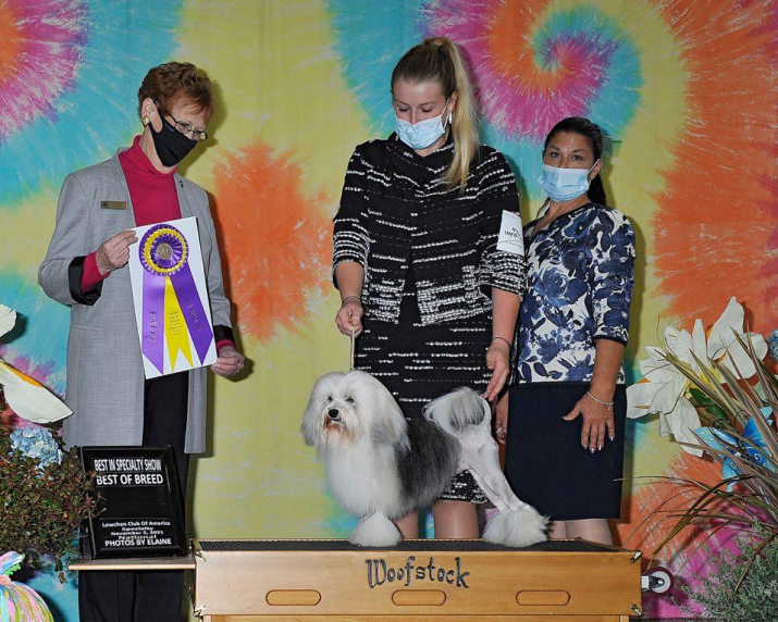 GCH Bon Idee’s Living In The Limelight With Musicbox