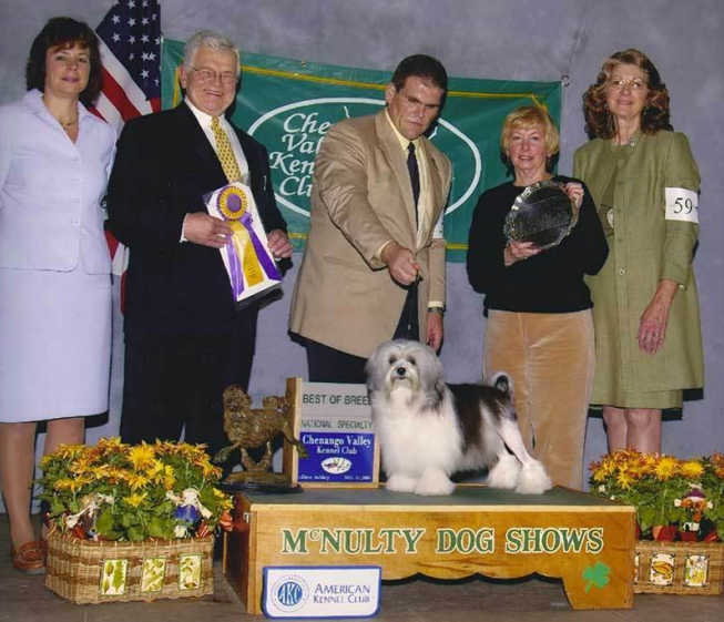 CH Sweetmeadow’s JB of Kismet