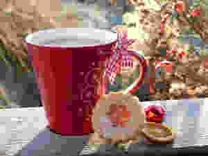 Christmas Mug & Cookies