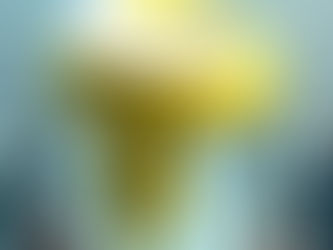 Pots ECBU pré-étiquetés 