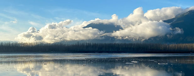Molly the Moocow Drinks Tea