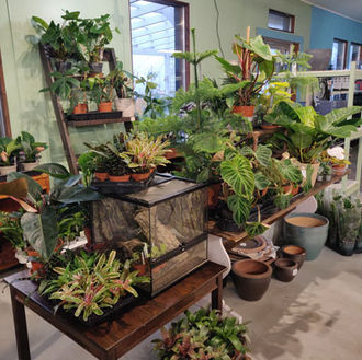 Vihertaimisto Seinäjoella