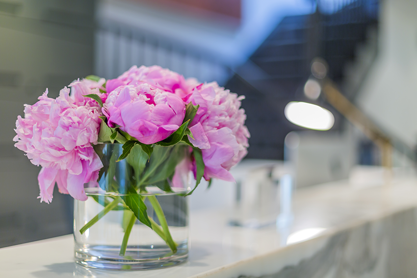 Kukka ja Sisustus Neilikka, Lahti