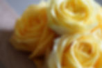 yellow roses.jpeg
