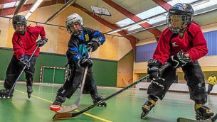 Les Rollers Cop’s de Pluvigner repartent sur les chapeaux de roues