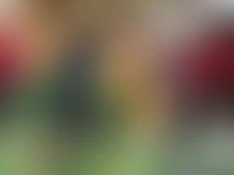 Les Rollers Cop’s de Pluvigner repartent sur les chapeaux de roues