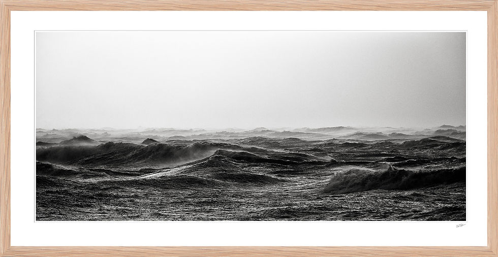 Miniaturebillede: Ole Mortensen - Storm-ved-Høfte-Q #SH