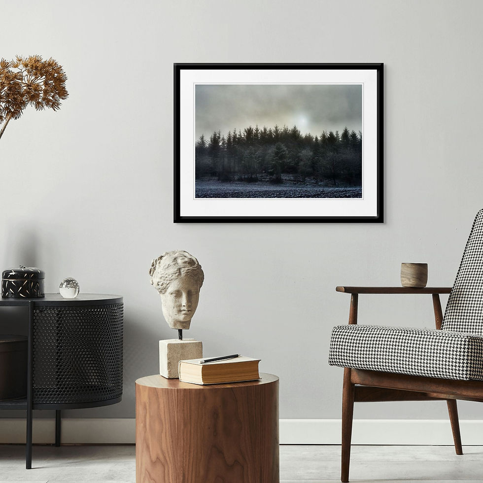 Miniaturebillede: Ole Mortensen - Solen bryder frem #1