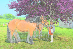 7