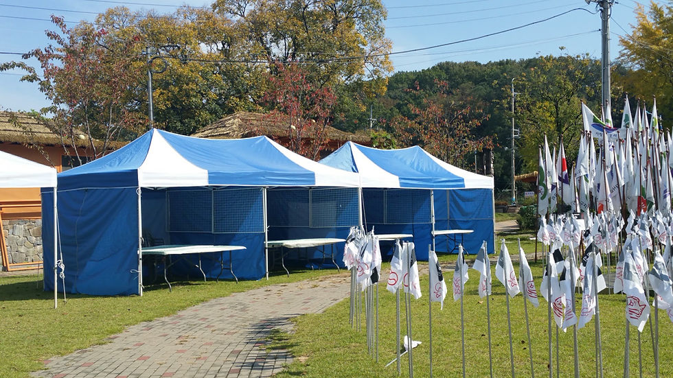 섬네일: 캐노피천막 (3X6m)