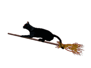 57f2f9c8f9a6118dab1d2fd864af0a99.gif