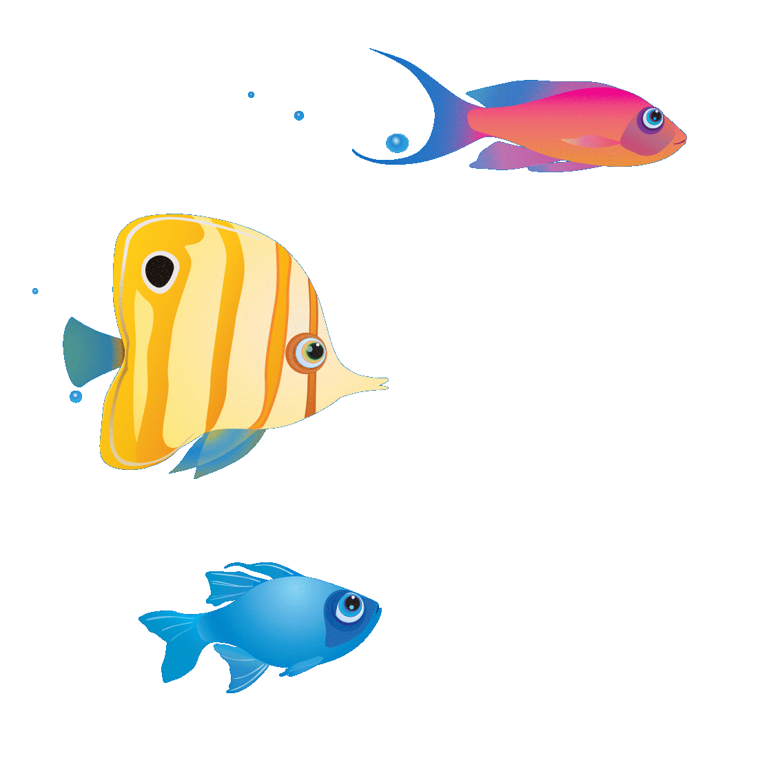 fishing fish.gif