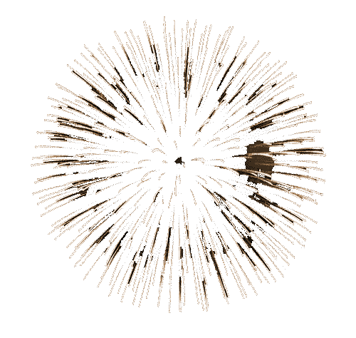 fireworks 4.gif