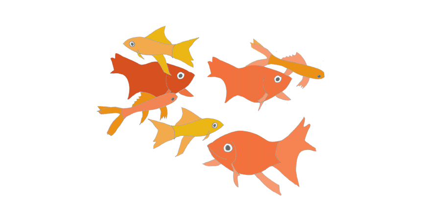fish 3.gif
