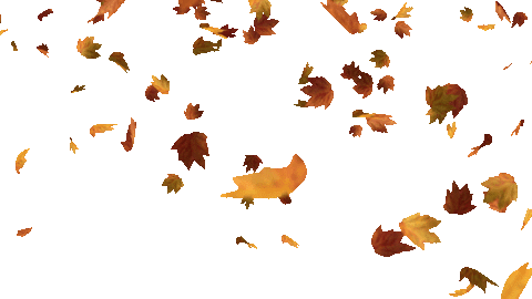 falling leaves.gif