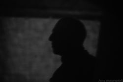 Festival Circasismic