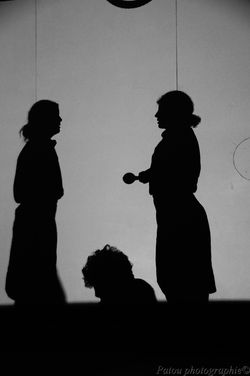 Festival Circasismic