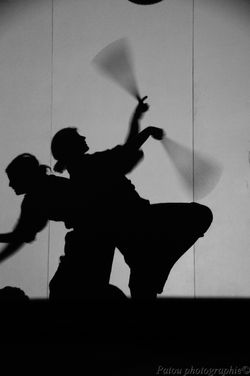 Festival Circasismic