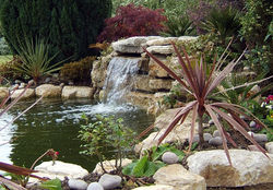 Pond Waterfall Barns Green