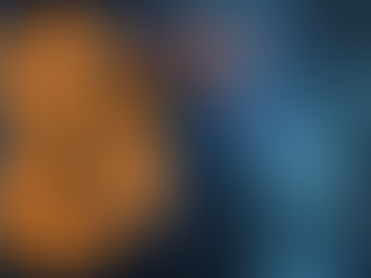 Bitcoin government shutdown impact